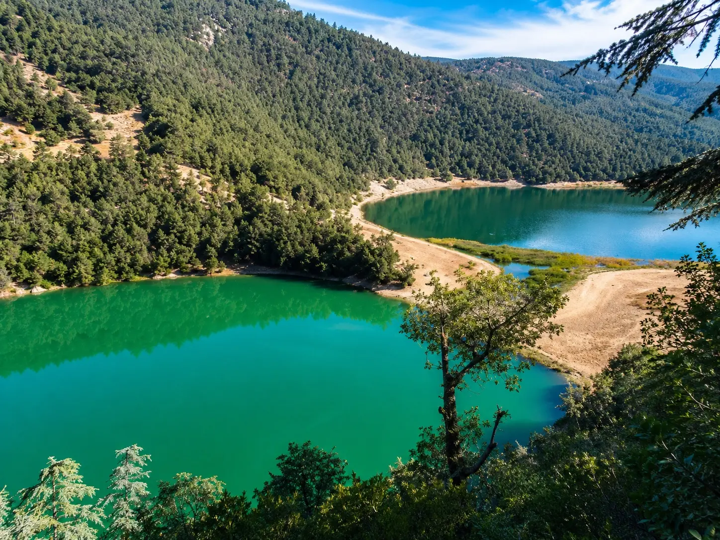 Atlas tours from Khenifra: lakes, cedar forest, and springs